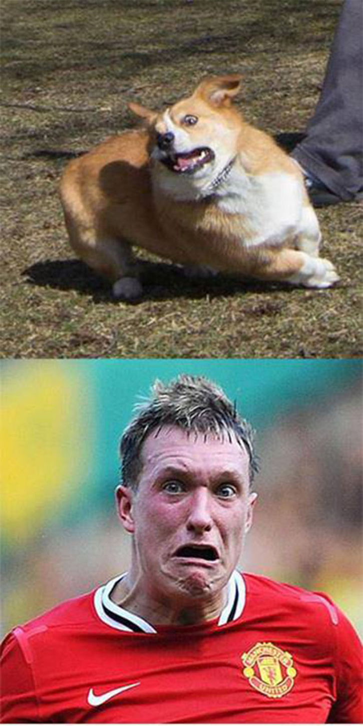 Résultat de recherche d'images pour