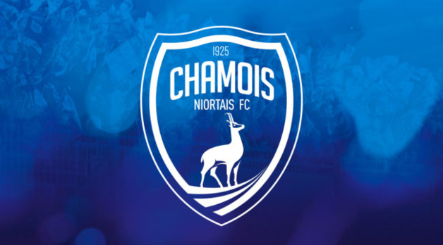 Niort Exclu De La Coupe De France 2021 2022 Grosse Amende Pour Les Chamois