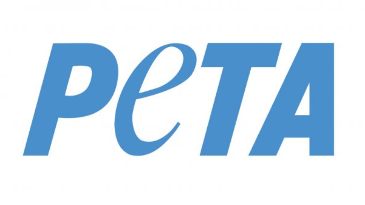 PETA exige de lourdes sanctions à l'encontre de Kurt Zouma, et sa radiation de l'équipe de France
