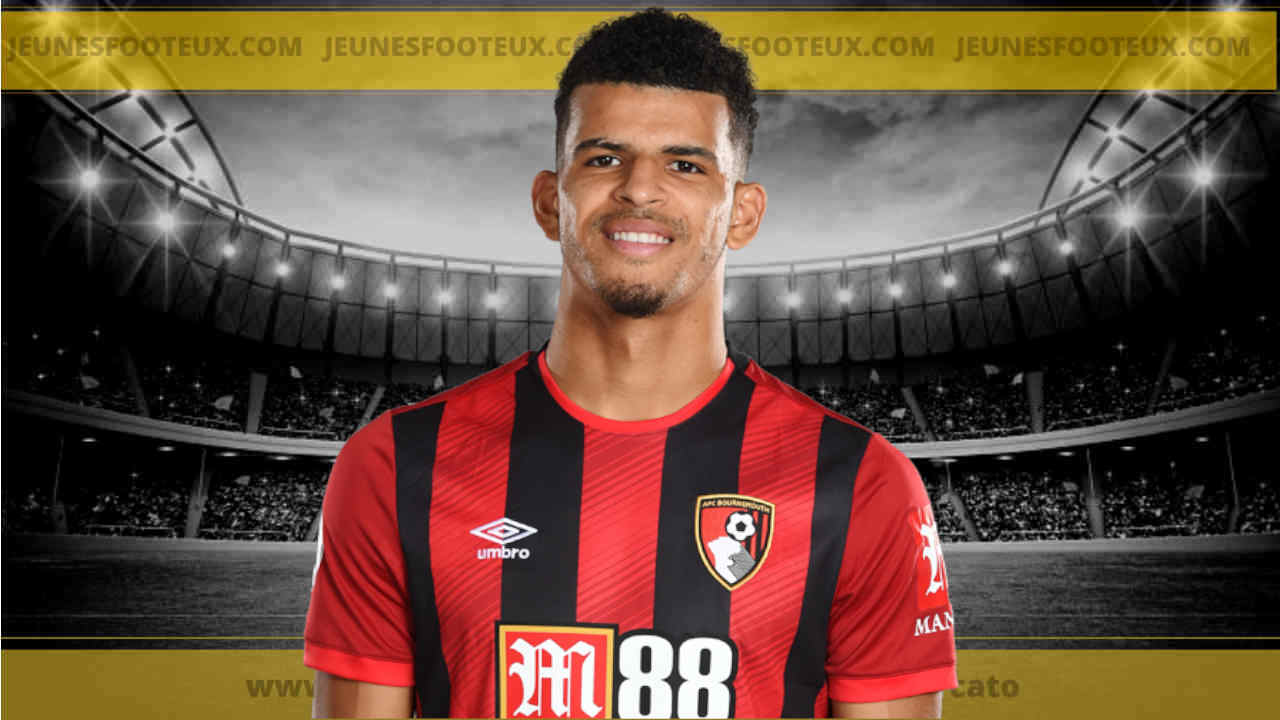 Mercato - Newcastle prêt à signer un gros chèque pour Dominic Solanke