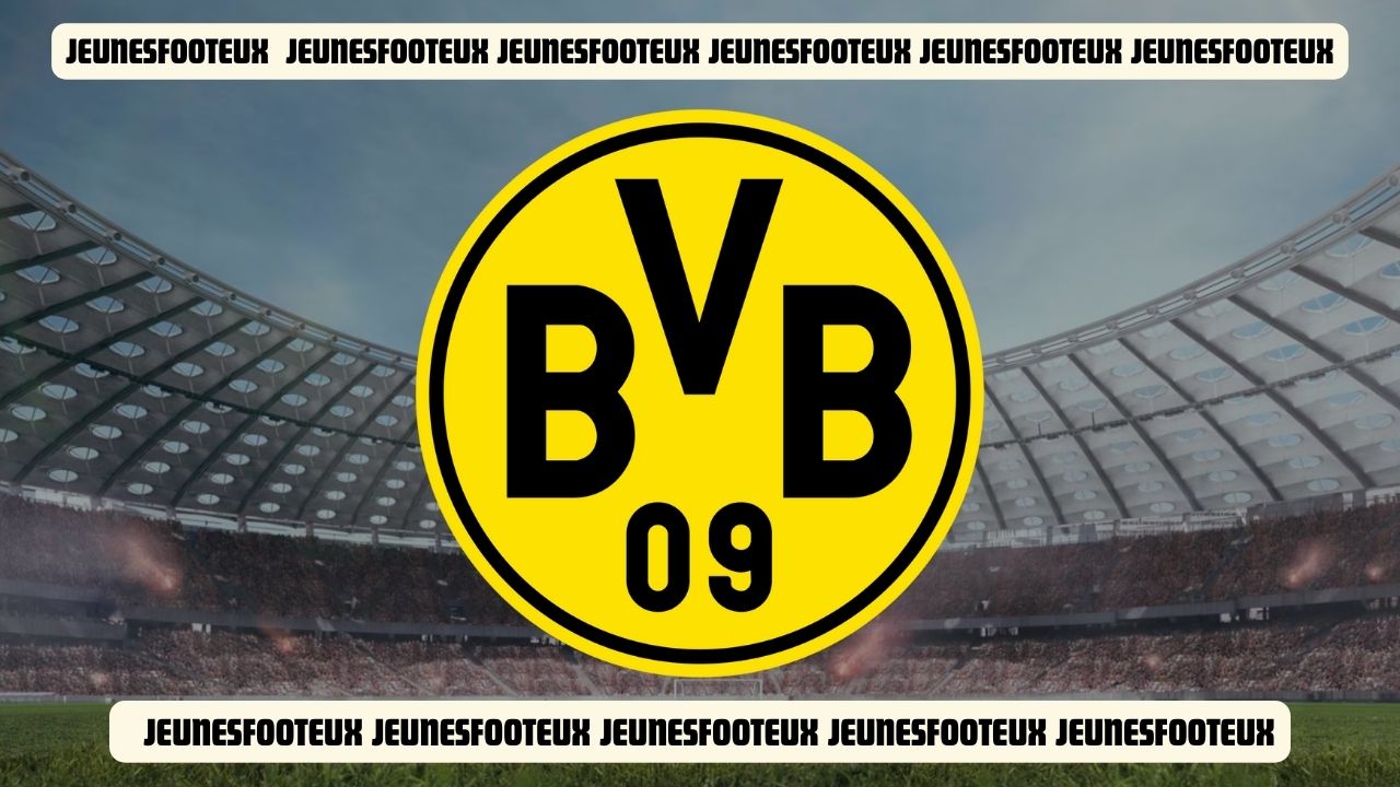 Paris SG : 136M€, le Borussia Dortmund veut "piquer" une star du PSG !