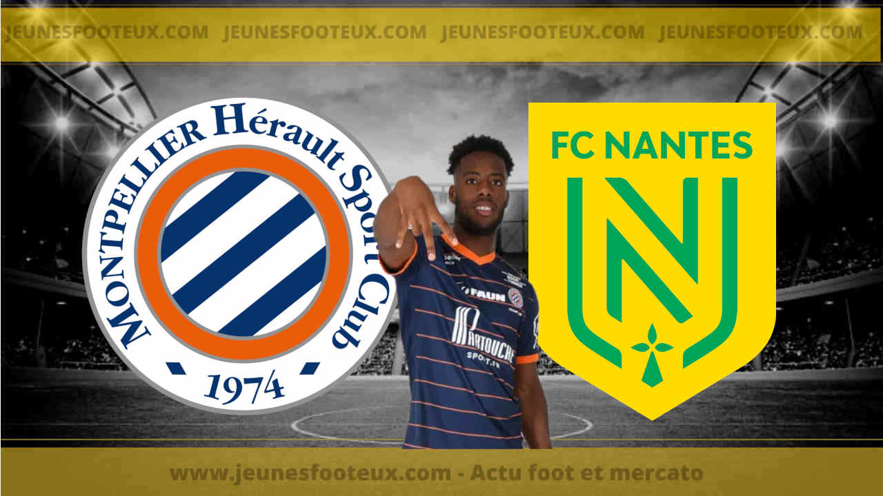 Montpellier : le FC Nantes a loupé deux jolis dossiers... à cause de Wahi (RC Lens, ex MHSC) !