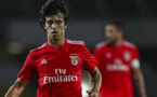 Benfica Lisbonne : forcing de la Juventus pour Joao Felix