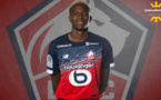 LOSC - Lille : Osimhen remporte le Prix Marc-Vivien Foé du meilleur joueur africain  de Ligue 1