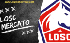 Avant Lille - Lyon, un coup en or à 0€ encore confirmé au LOSC ?