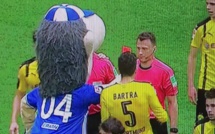 La mascotte de Schalke 04 met un carton rouge à l'arbitre