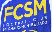 Un ancien joueur de Guingamp vers le FC Sochaux ?