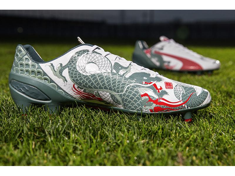 Show shoes : Puma evoSPEED Graphic