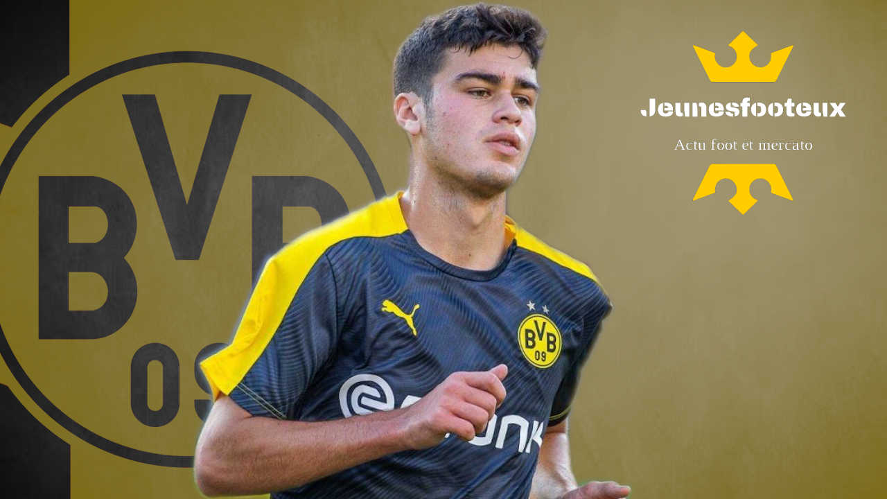 Borussia Dortmund : Giovanni Reyna