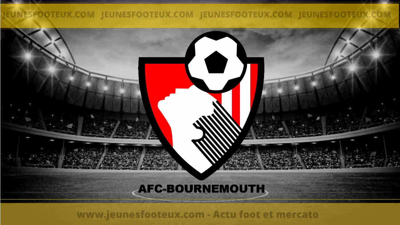 Un ancien de l'OM sur le banc de Bournemouth