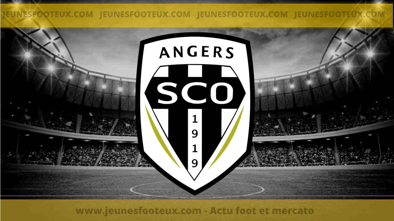 Angers SCO : fort probable que cet angevin expérimenté rebondisse chez un cador de Ligue 1 !